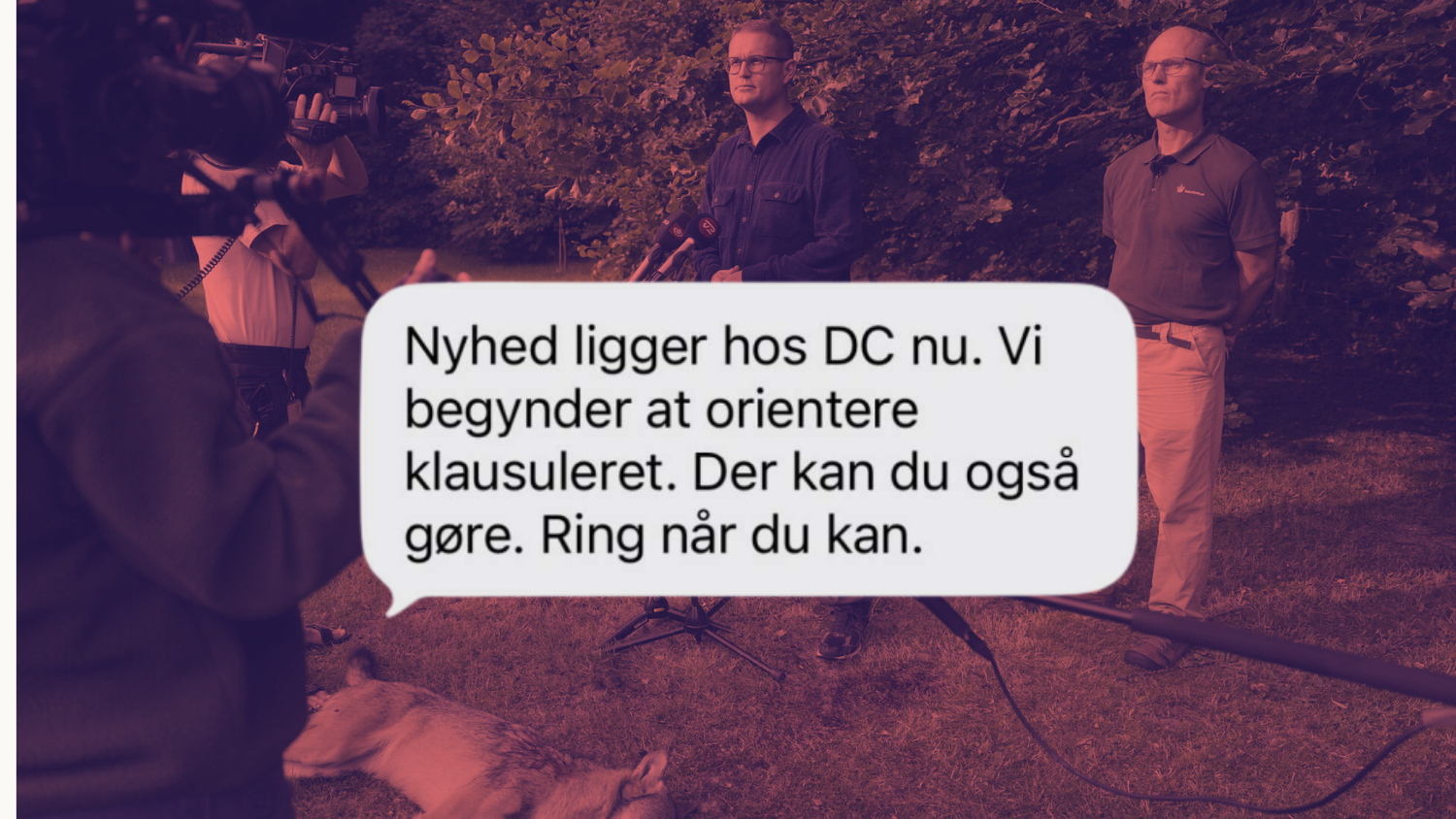 Medier holdt på ulvenyhed efter instruks fra ministerie
